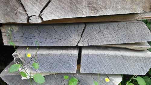 Tavole di legno